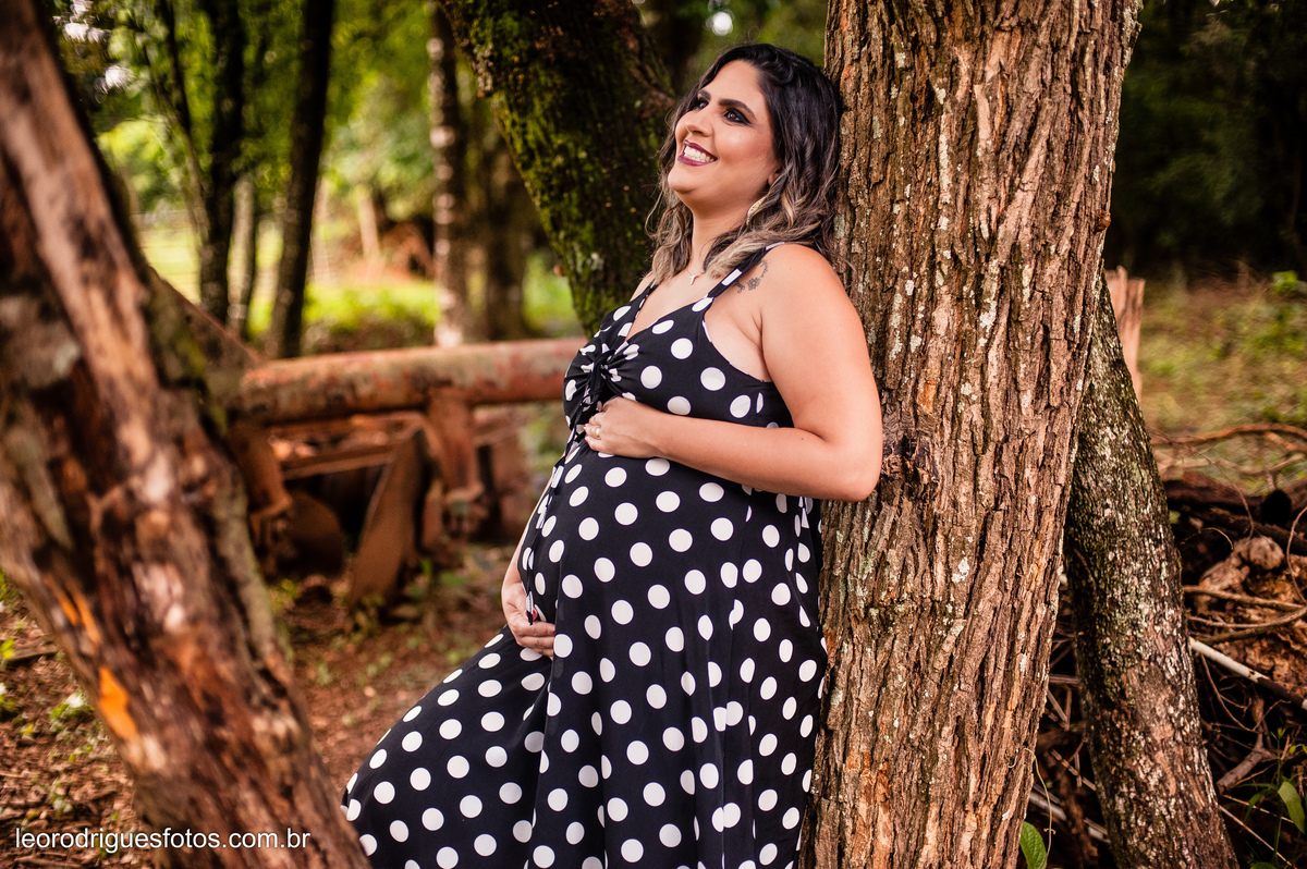 book gestante, gestante, book de gravidez, gravida, fotos de gestante em haras, 