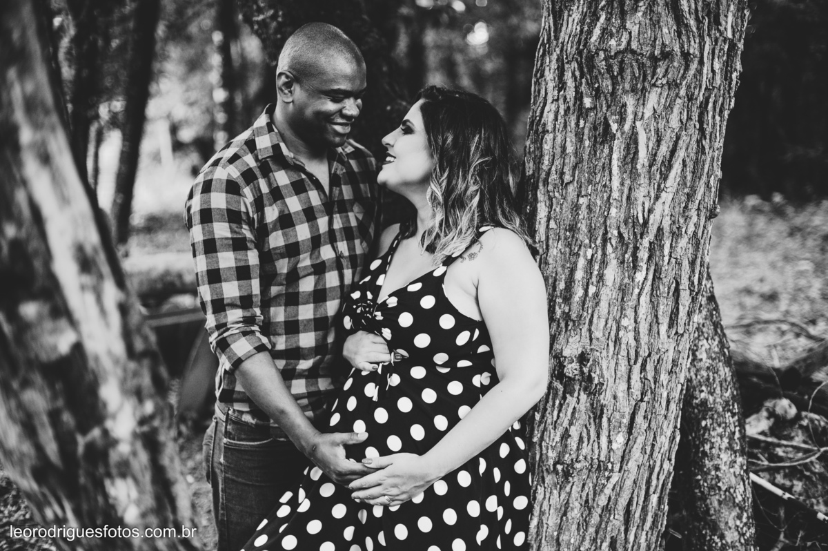 book gestante, gestante, book de gravidez, gravida, fotos de gestante em haras, 