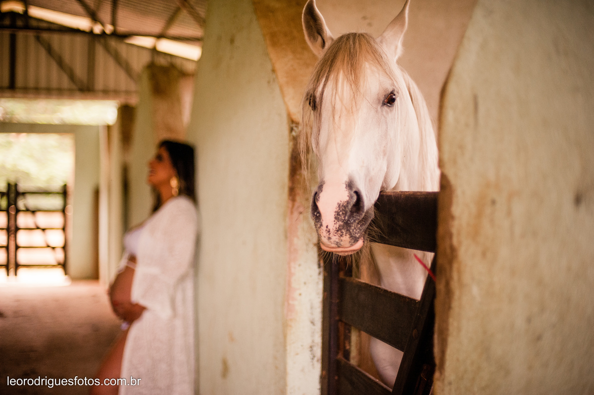 book gestante, gestante, book de gravidez, gravida, fotos de gestante em haras, 