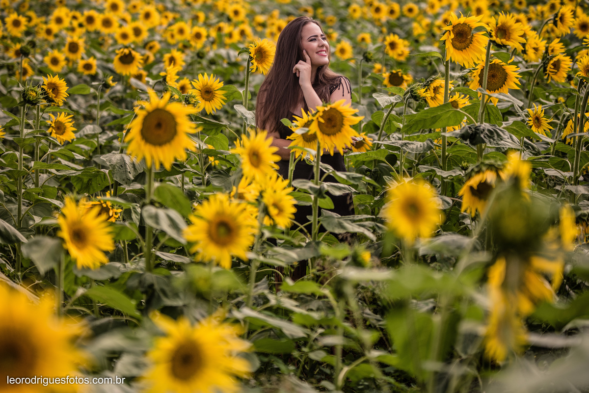fashion book, fashion book de 15anos, 15 anos, book de 15anos, fashion book Alta Genetics do Brasil uberaba mg, uberaba mg, fotos no girassóis em uberaba mg, book