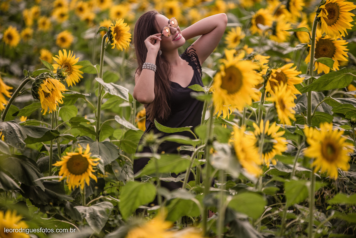 fashion book, fashion book de 15anos, 15 anos, book de 15anos, fashion book Alta Genetics do Brasil uberaba mg, uberaba mg, fotos no girassóis em uberaba mg, book