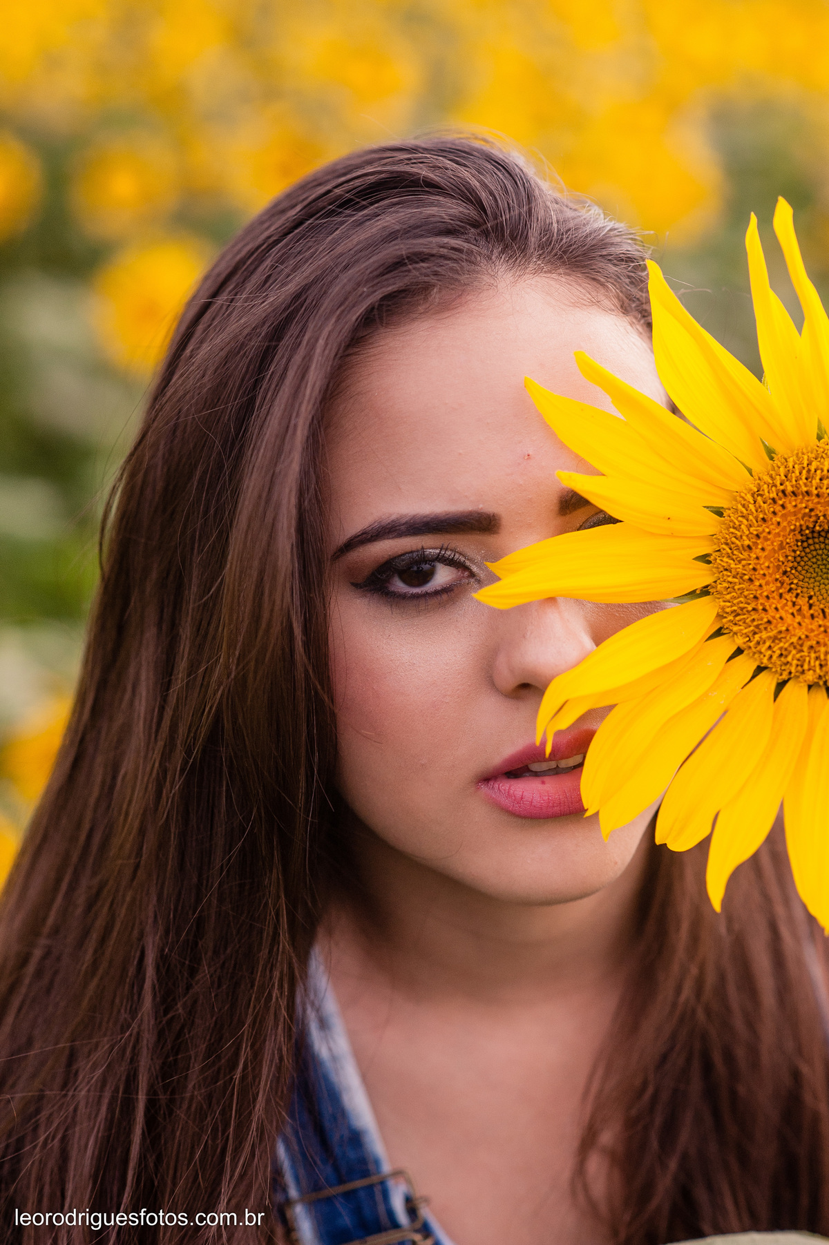 fashion book, fashion book de 15anos, 15 anos, book de 15anos, fashion book Alta Genetics do Brasil uberaba mg, uberaba mg, fotos no girassóis em uberaba mg, book