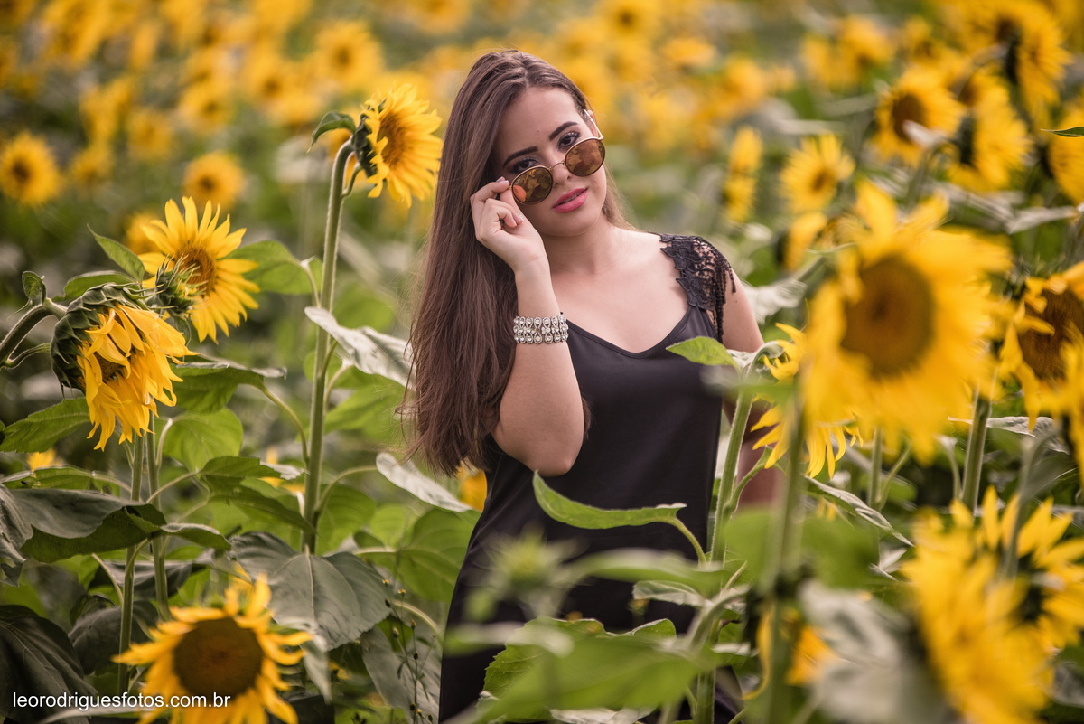 fashion book, fashion book de 15anos, 15 anos, book de 15anos, fashion book Alta Genetics do Brasil uberaba mg, uberaba mg, fotos no girassóis em uberaba mg, book