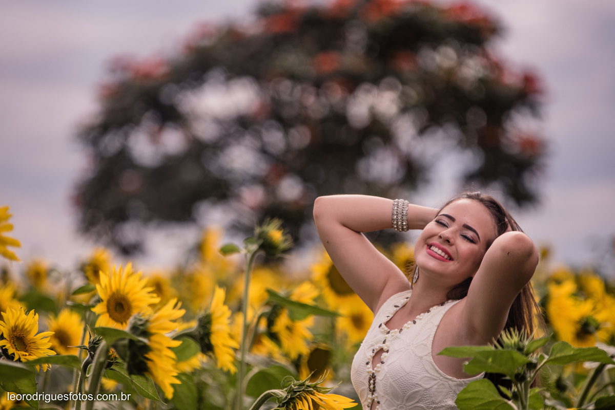 fashion book, fashion book de 15anos, 15 anos, book de 15anos, fashion book Alta Genetics do Brasil uberaba mg, uberaba mg, fotos no girassóis em uberaba mg, book