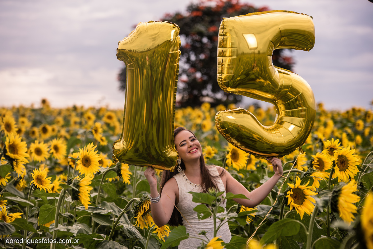 fashion book, fashion book de 15anos, 15 anos, book de 15anos, fashion book Alta Genetics do Brasil uberaba mg, uberaba mg, fotos no girassóis em uberaba mg, book