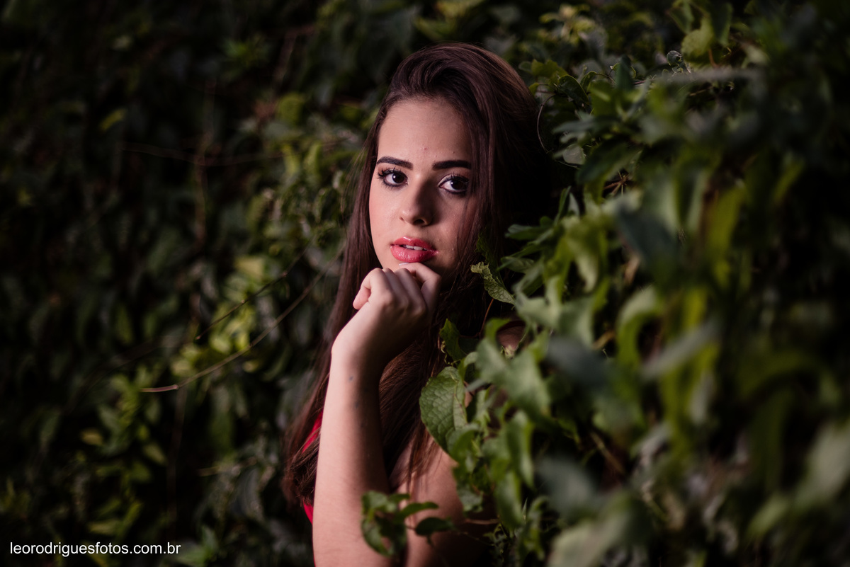 fashion book, fashion book de 15anos, 15 anos, book de 15anos, fashion book Alta Genetics do Brasil uberaba mg, uberaba mg, fotos no girassóis em uberaba mg, book