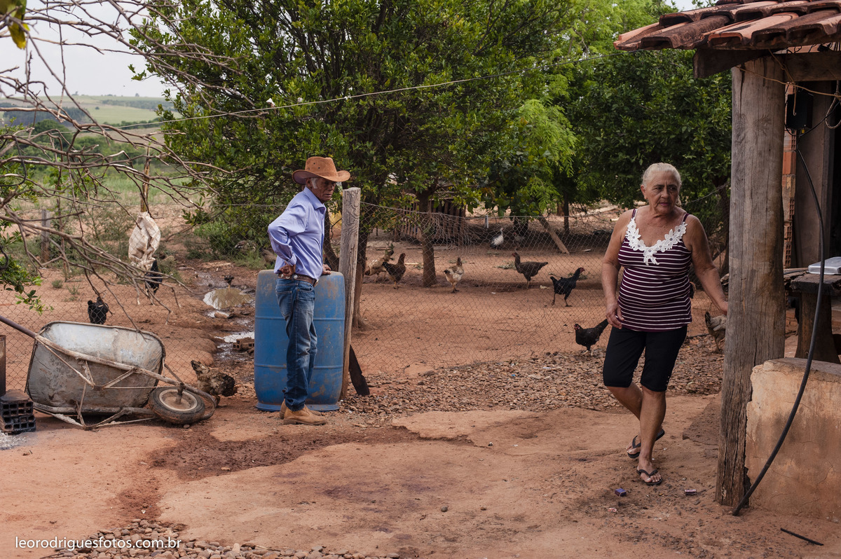 bodas de ouro, fotos bodas de ouro, fotos em fazenda, fotos criativas de bodas de ouro, fotos 50 anos de casado, noiva, noivo, fazenda, veríssimo mg