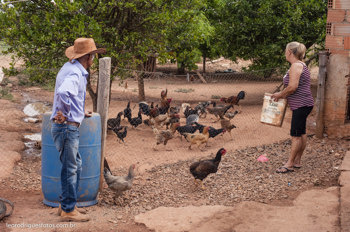 bodas de ouro, fotos bodas de ouro, fotos em fazenda, fotos criativas de bodas de ouro, fotos 50 anos de casado, noiva, noivo, fazenda, veríssimo mg
