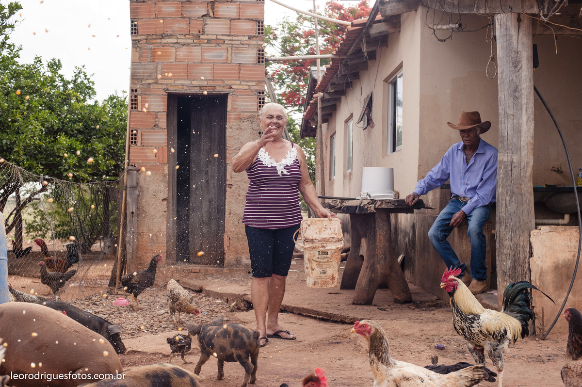 bodas de ouro, fotos bodas de ouro, fotos em fazenda, fotos criativas de bodas de ouro, fotos 50 anos de casado, noiva, noivo, fazenda, veríssimo mg