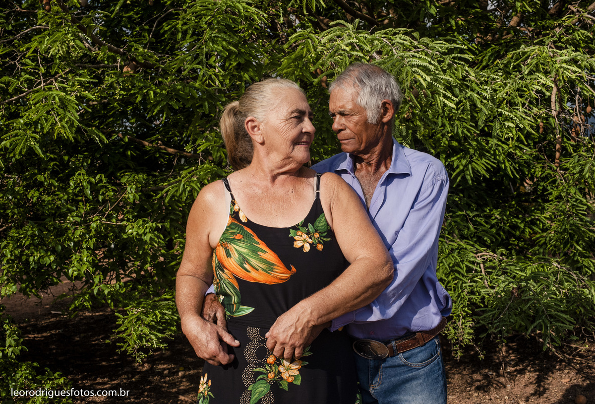 bodas de ouro, fotos bodas de ouro, fotos em fazenda, fotos criativas de bodas de ouro, fotos 50 anos de casado, noiva, noivo, fazenda, veríssimo mg
