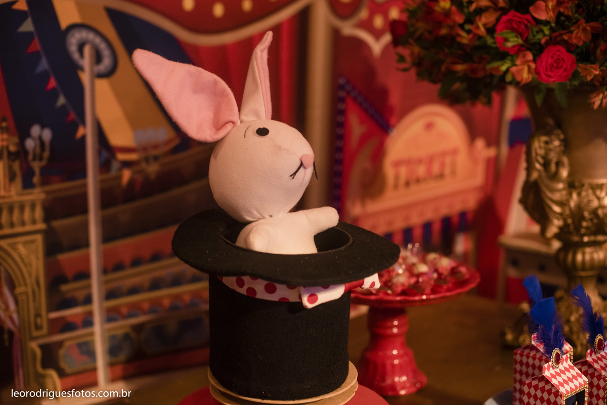 um aninho, um ano, fotos de aniversario, fotos de circo, festa de um aninho de circo, fotos criativas de um aninho, Maison Blanche Buffet e Eventos Uberaba MG, fotos de criança, fotos de criança de circo, fotos