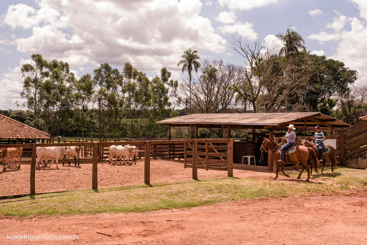 fazenda saudade