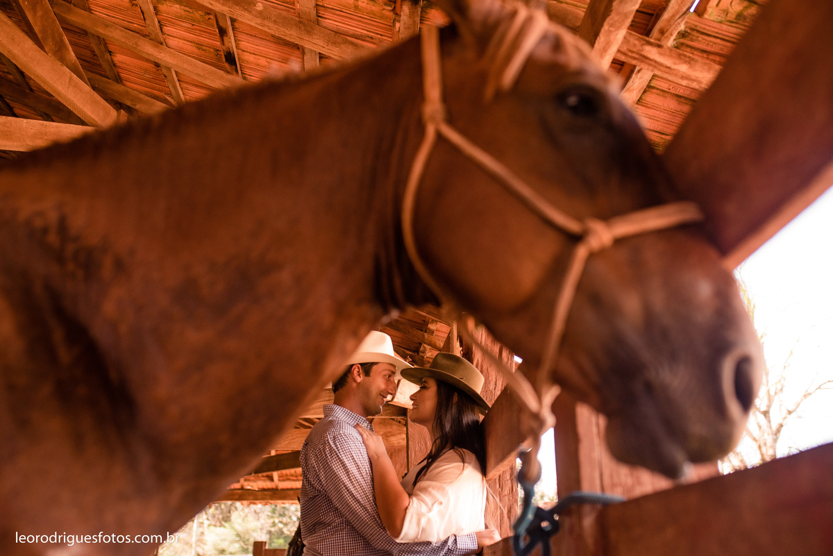 book de casal com cavalo