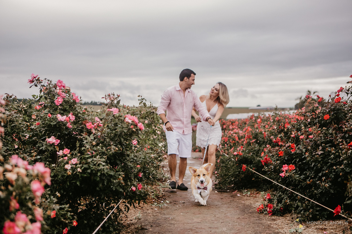 Ensaio Pré-Wedding em Holambra SP. Casa de noivos passeando com cachorro