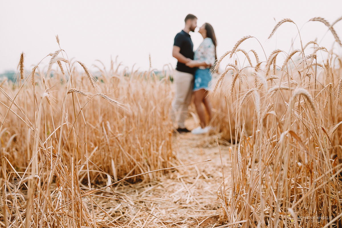 casal de noivos entre plantação de trigo em Holambra SP - Por Monique Angelis