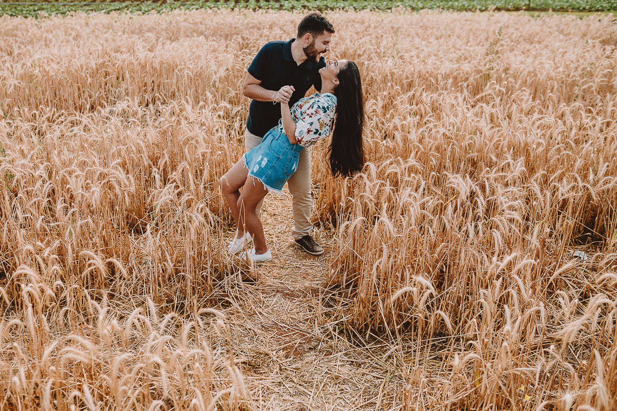 Casal de Noivos se beijando entre plantação de trigo em Holambra SP - Por Monique Angelis
