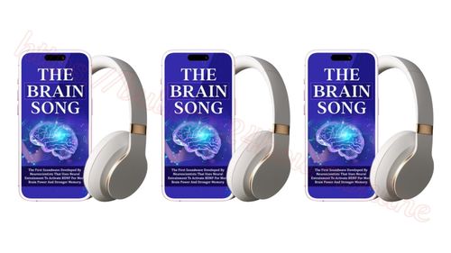 Logotipo de TheBrainSongILIsrael