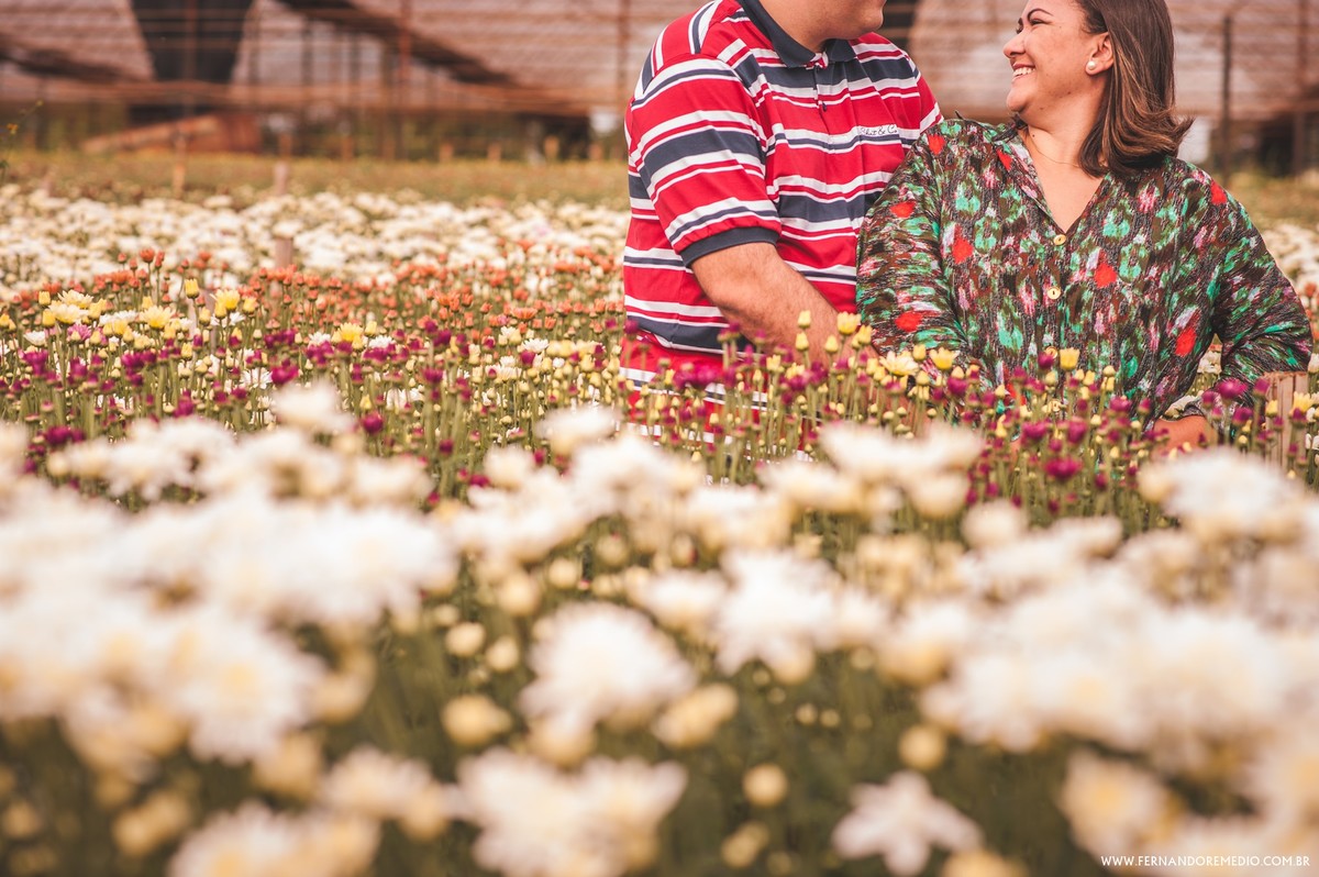 ENSAIO,HOLAMBRA,CASAMENTO,FERNANDOREMEDIO,CIDAEFELIPE