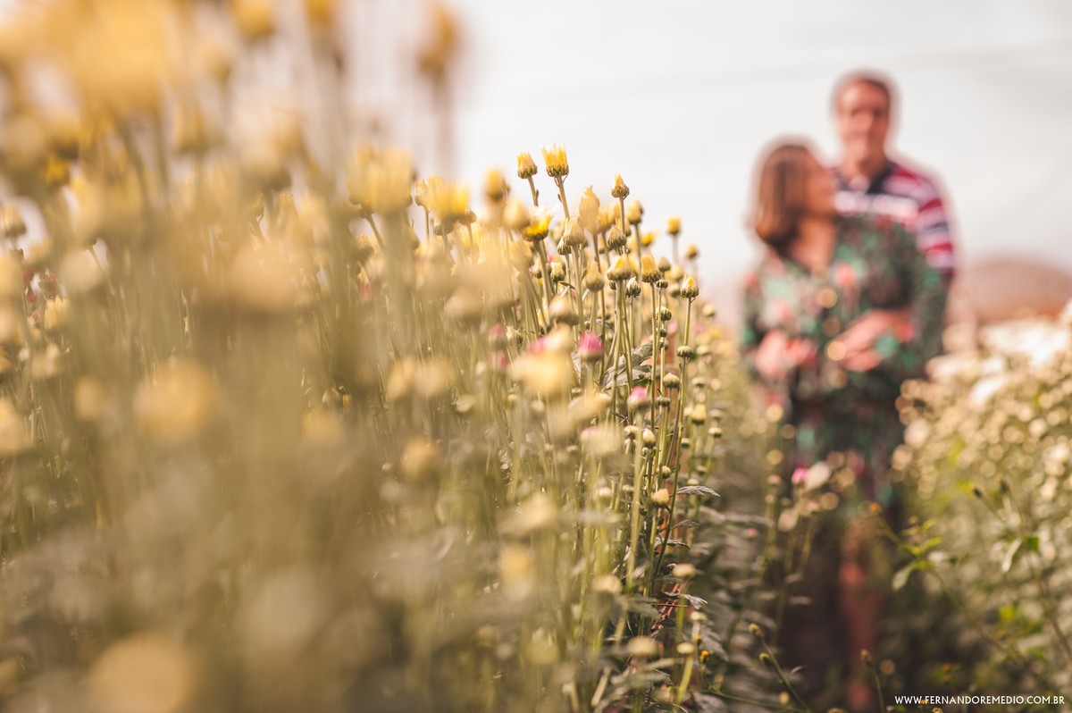 ENSAIO,HOLAMBRA,CASAMENTO,FERNANDOREMEDIO,CIDAEFELIPE