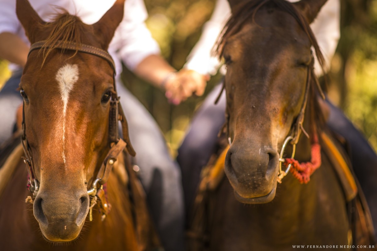fotos ensaio jessica e vinicius brotas fotografo fernando remedio