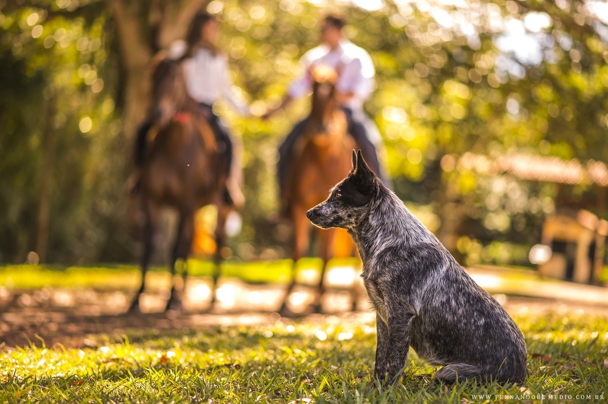 fotos ensaio jessica e vinicius brotas fotografo fernando remedio