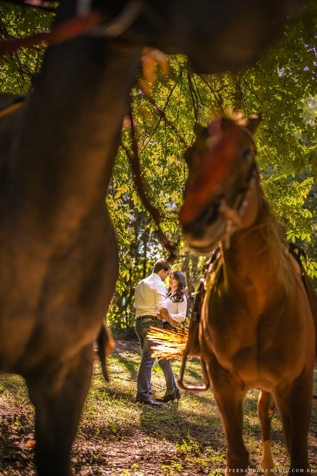 fotos ensaio jessica e vinicius brotas fotografo fernando remedio