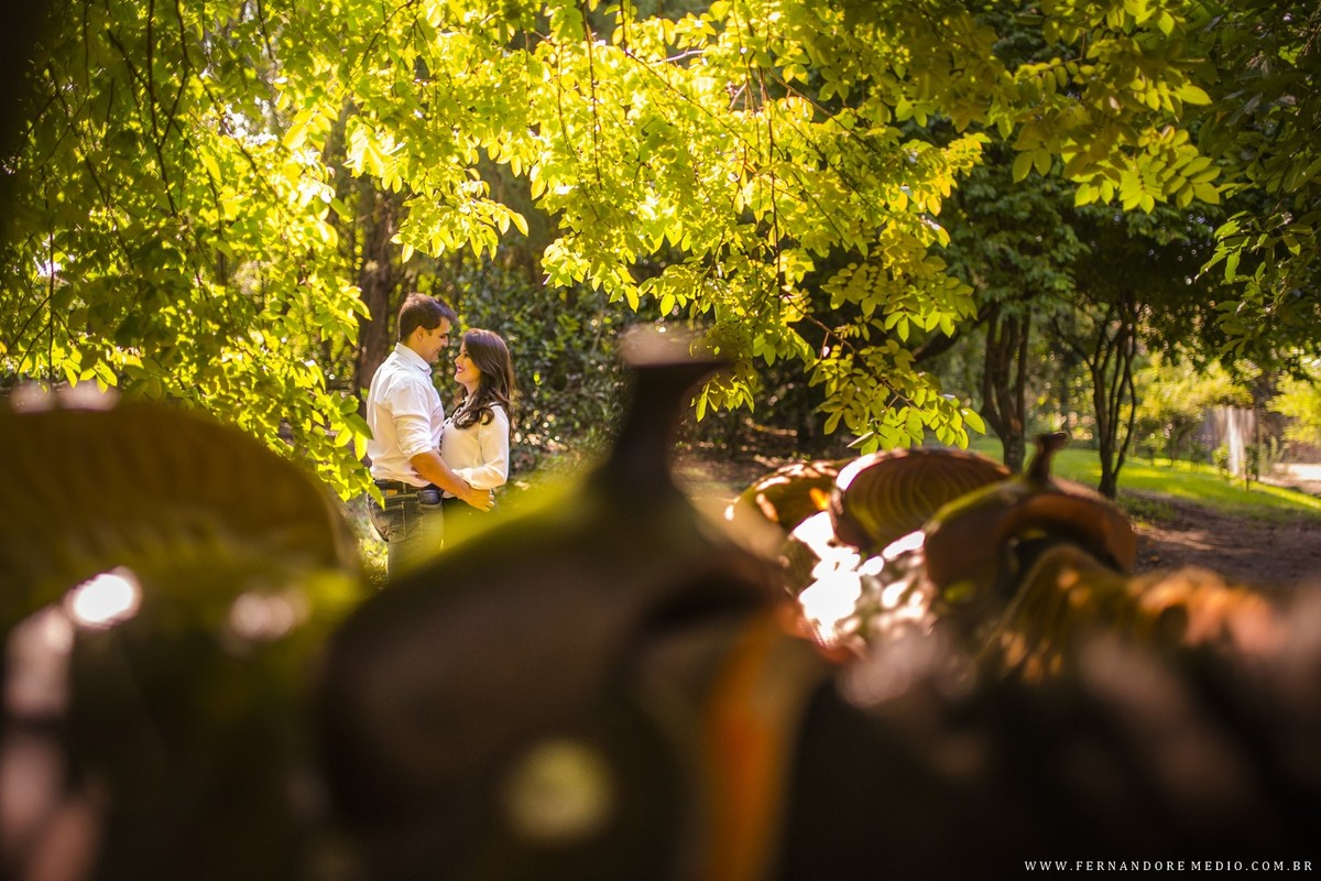 fotos ensaio jessica e vinicius brotas fotografo fernando remedio
