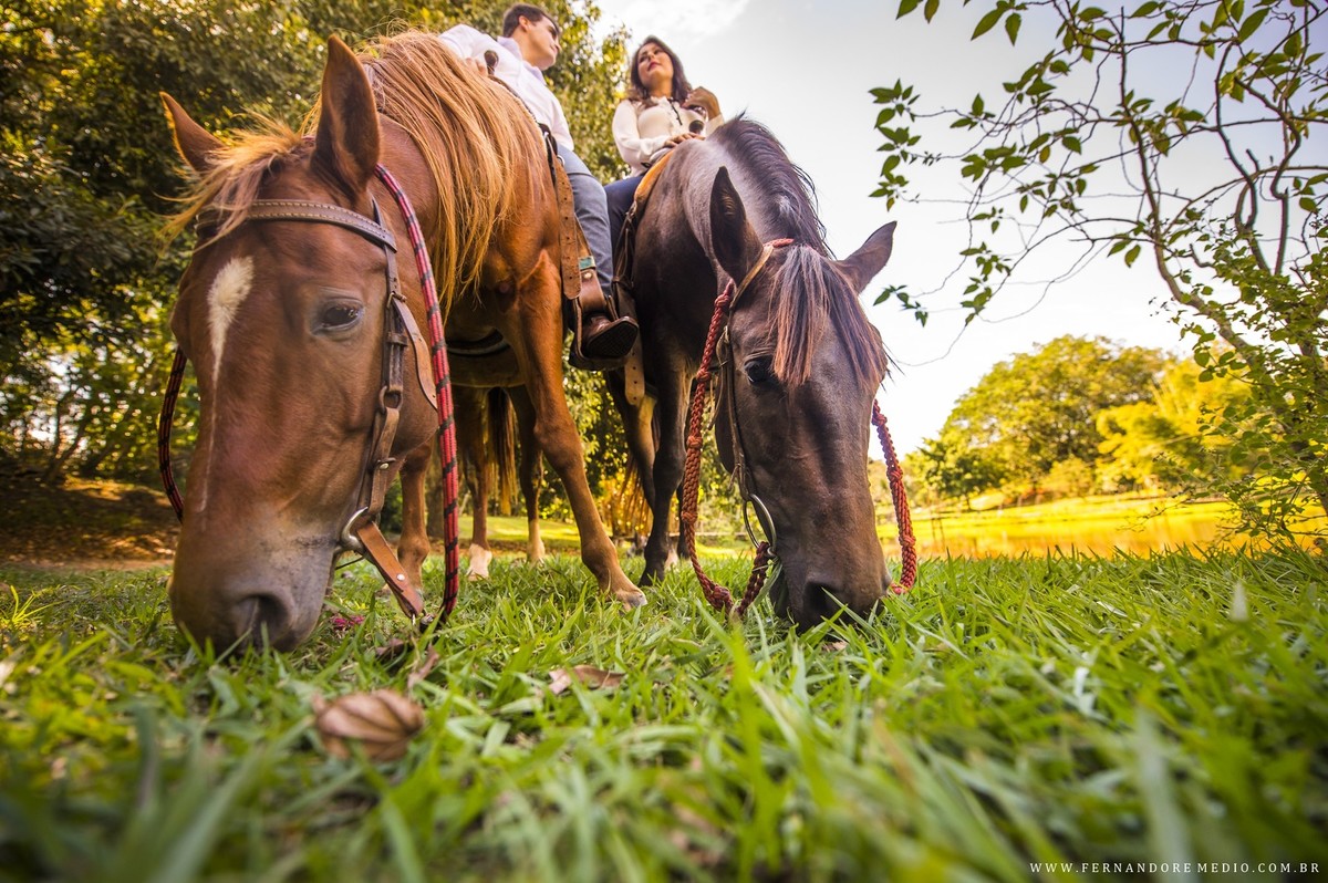fotos ensaio jessica e vinicius brotas fotografo fernando remedio