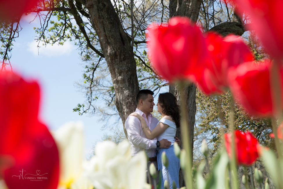 Couple photo in spring tulip