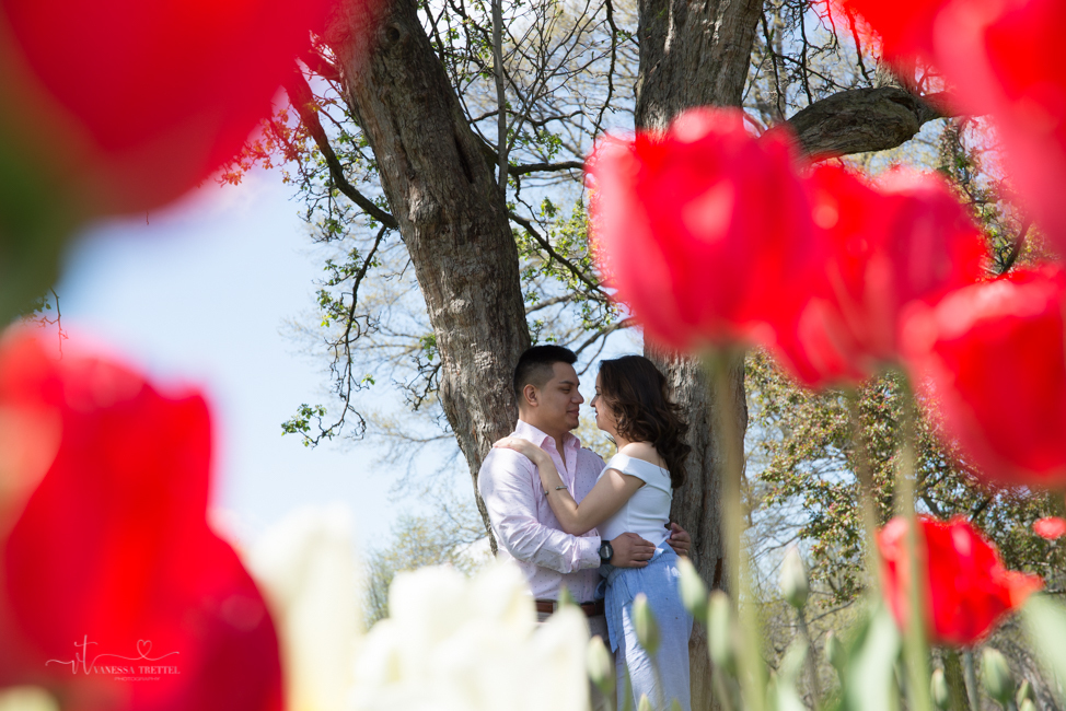 Couple photo in spring tulip
