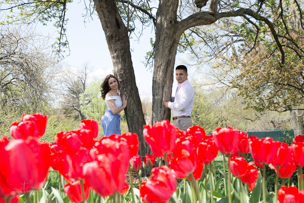 Couple photo in spring in nyc tulip