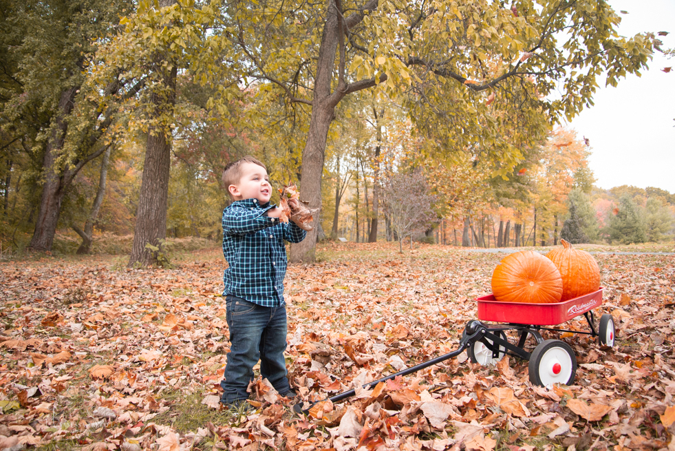 Kids boy 2 years photo fall 
pumpkin wagon