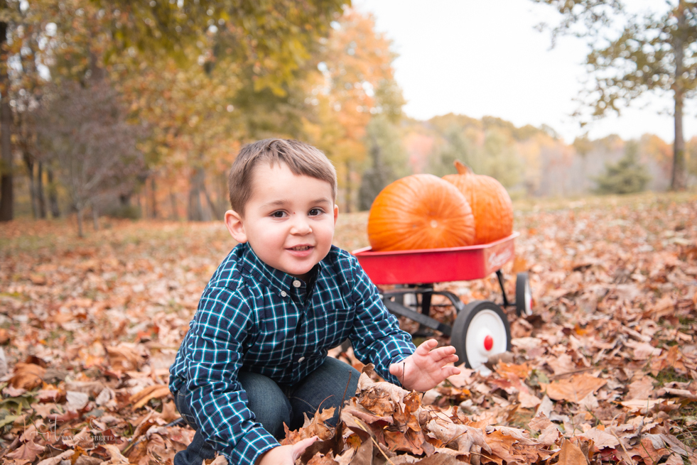 Kids boy 2 years photo fall 
pumpkin wagon