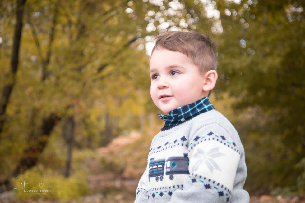 Kids boy 2 years photo fall