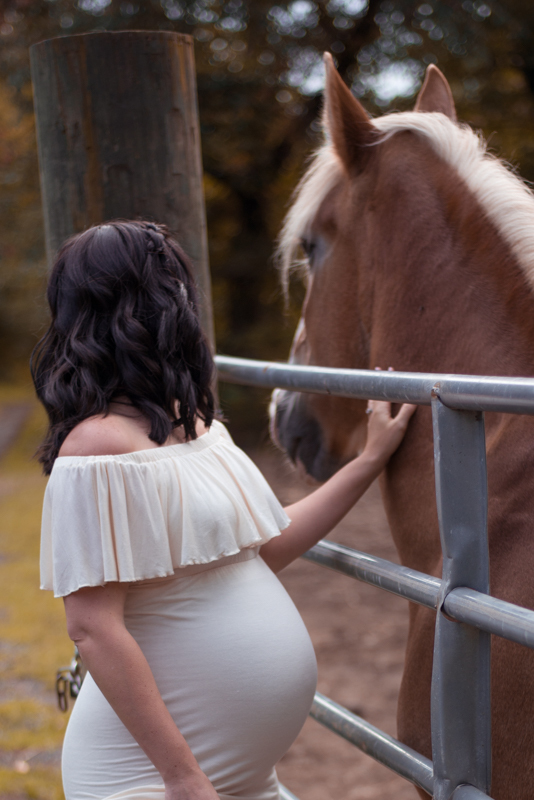 maternity pic farm horse mother and father Connecticut