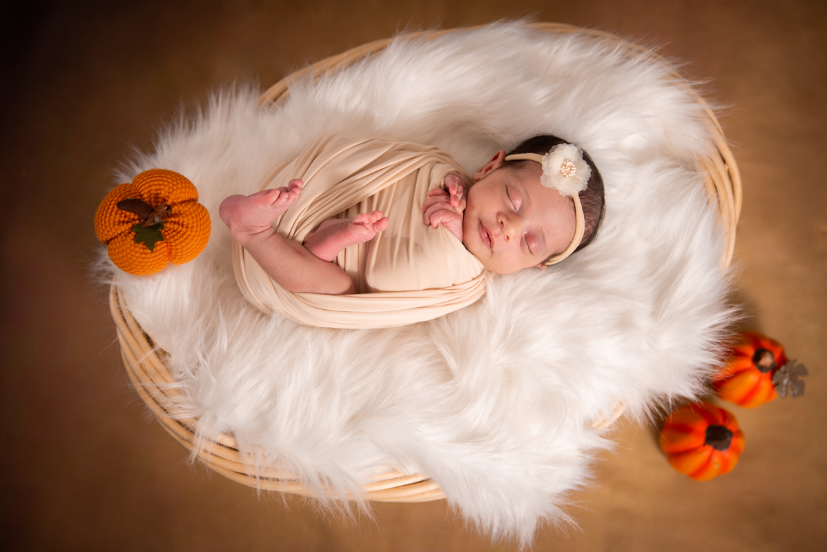  girl newborn photography fall Connecticut