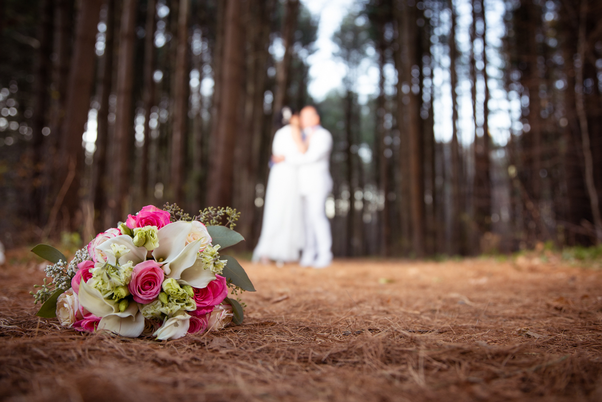 Civil album wedding bouquet trees park Connecticut CT