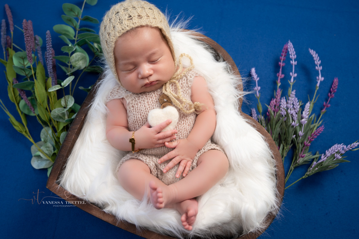 Vanessa Trettel photography 
newborn photoshoot CT 
blue backdrop
baby cute