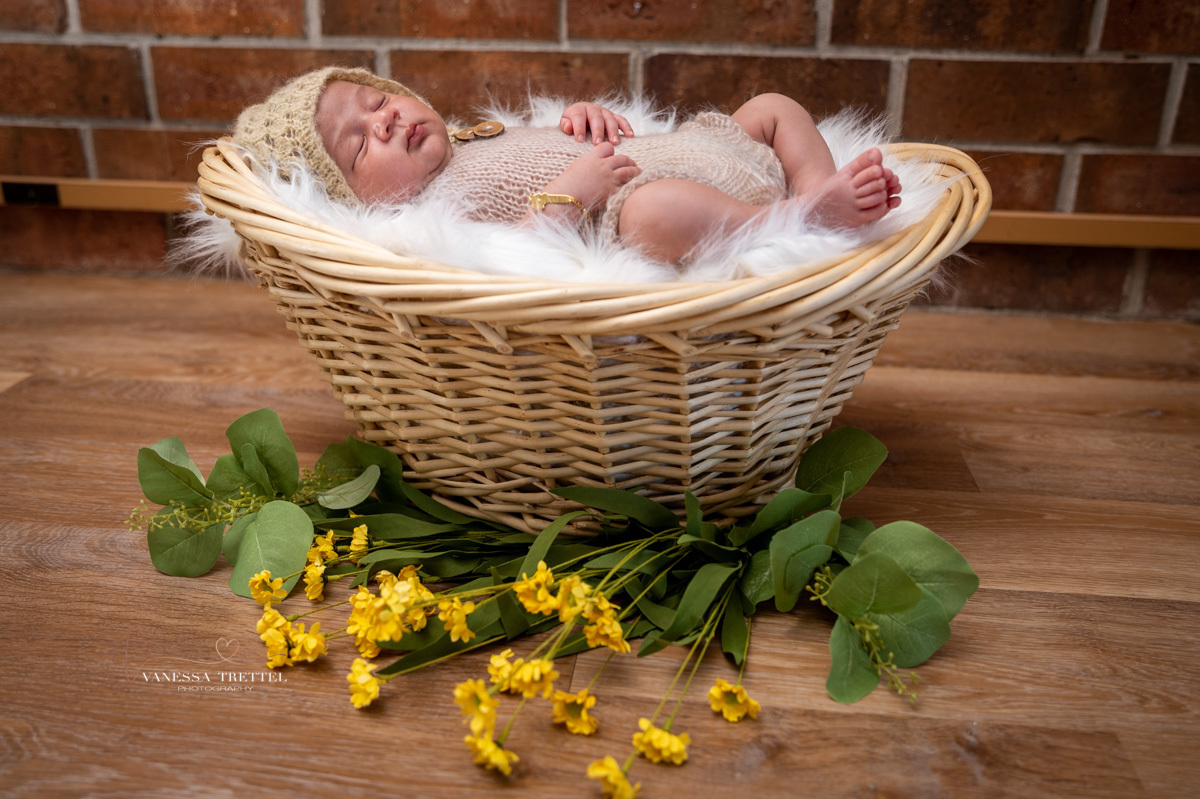 Vanessa Trettel photography 
newborn photoshoot CT 
baby boy cute