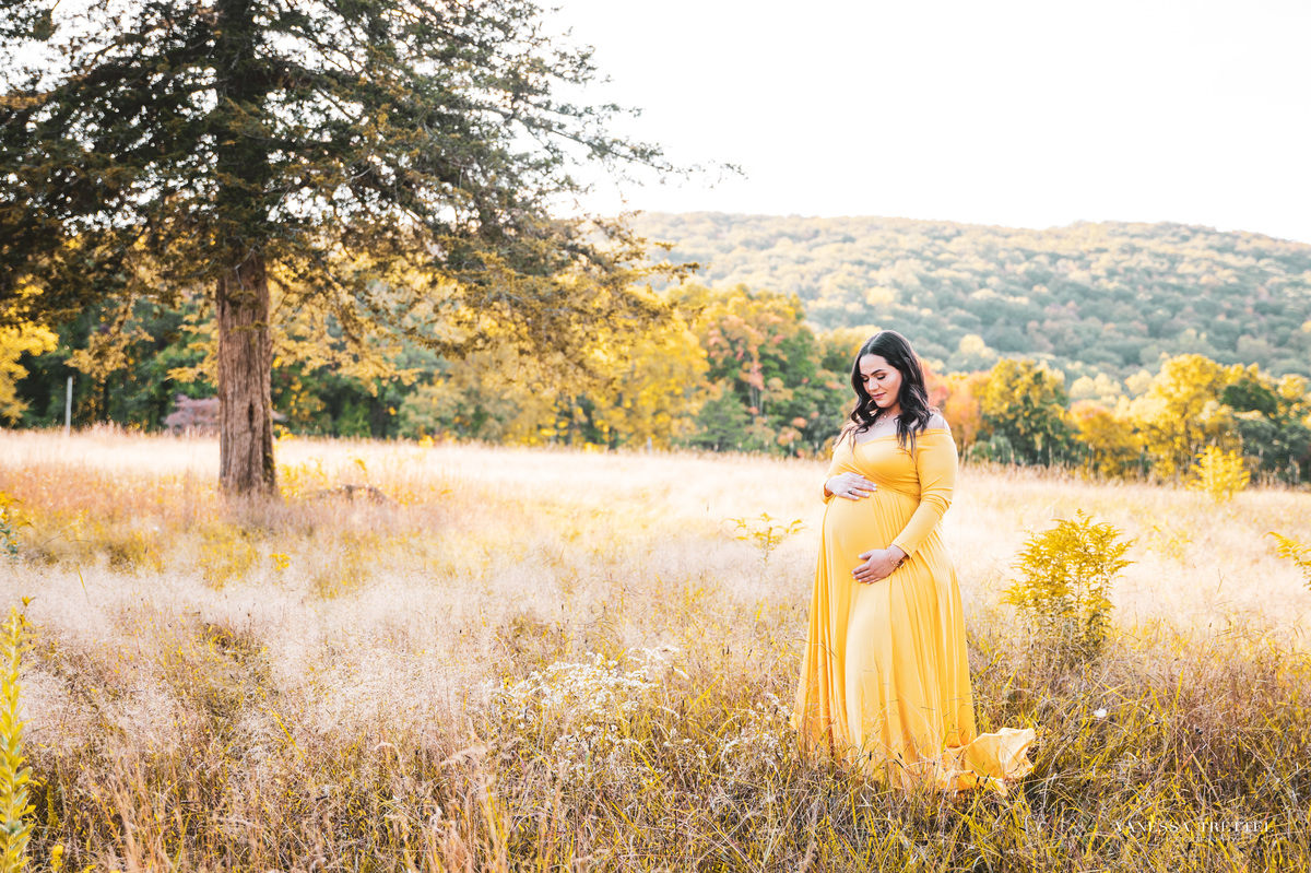Maternity Photographer in CT
maternity photo in the beach
maternity dress
Vanessa Trettel Photography