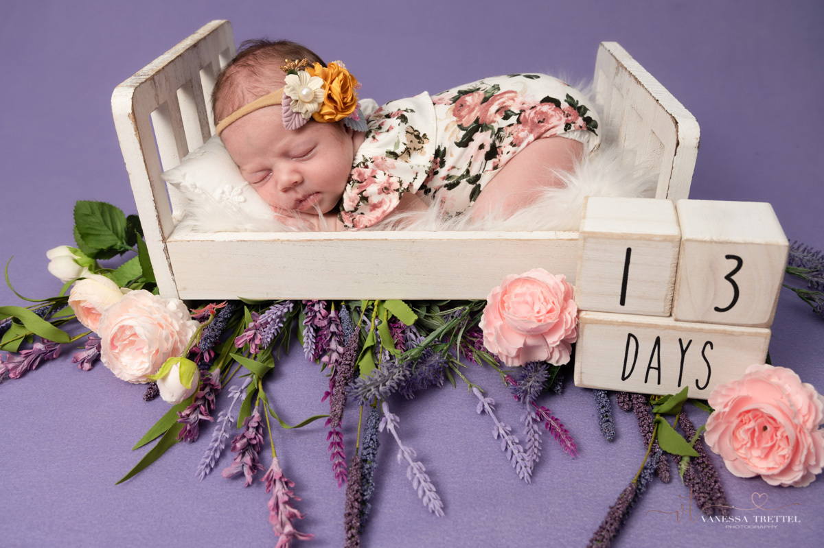 newborn photo
purple background girl 
 newborn photoshoot
Vanessa Trettel Photography