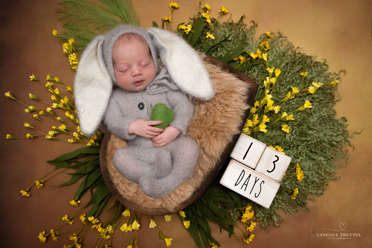 newborn photo
withe background girl 
wrap turquoise
Bunny newborn photoshoot
Vanessa Trettel Photography
