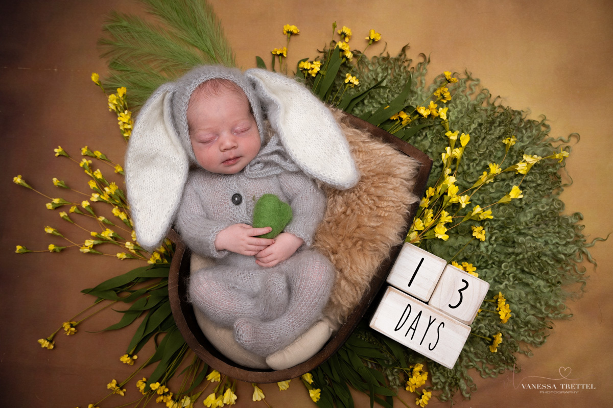 newborn photo
withe background girl 
wrap turquoise
Bunny newborn photoshoot
Vanessa Trettel Photography