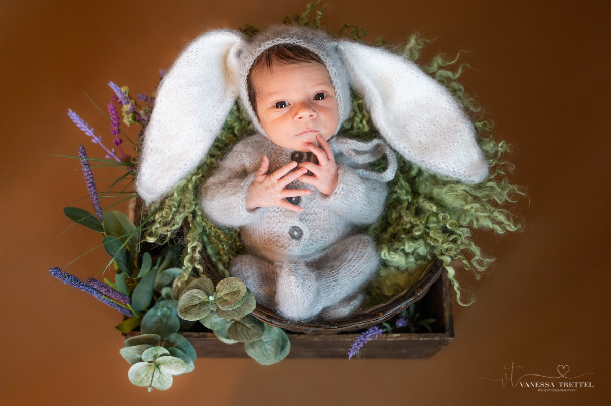 newborn photo
brown background boy
wrap 
Bunny newborn photoshoot
Vanessa Trettel Photography