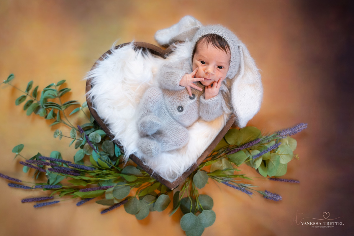 newborn photo
brown background boy
wrap 
Bunny newborn photoshoot
Vanessa Trettel Photography