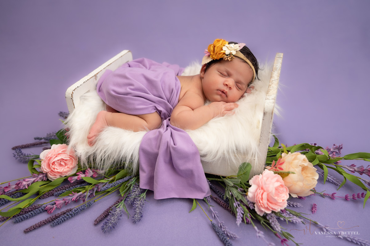 newborn photo
purple background girl 
 newborn photoshoot
Vanessa Trettel Photography