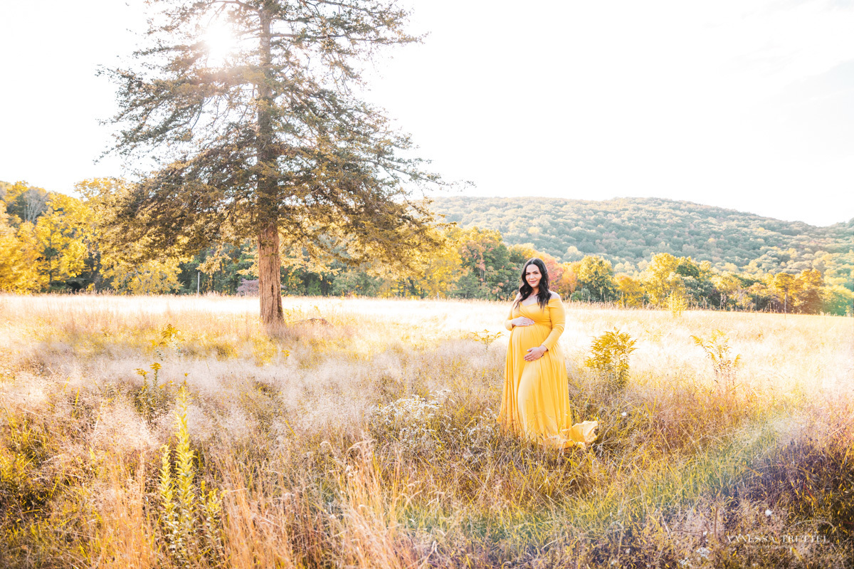 maternity photo
yellow dress
pregnancy couple photoshoot
park  CT
vanessa trettel photography