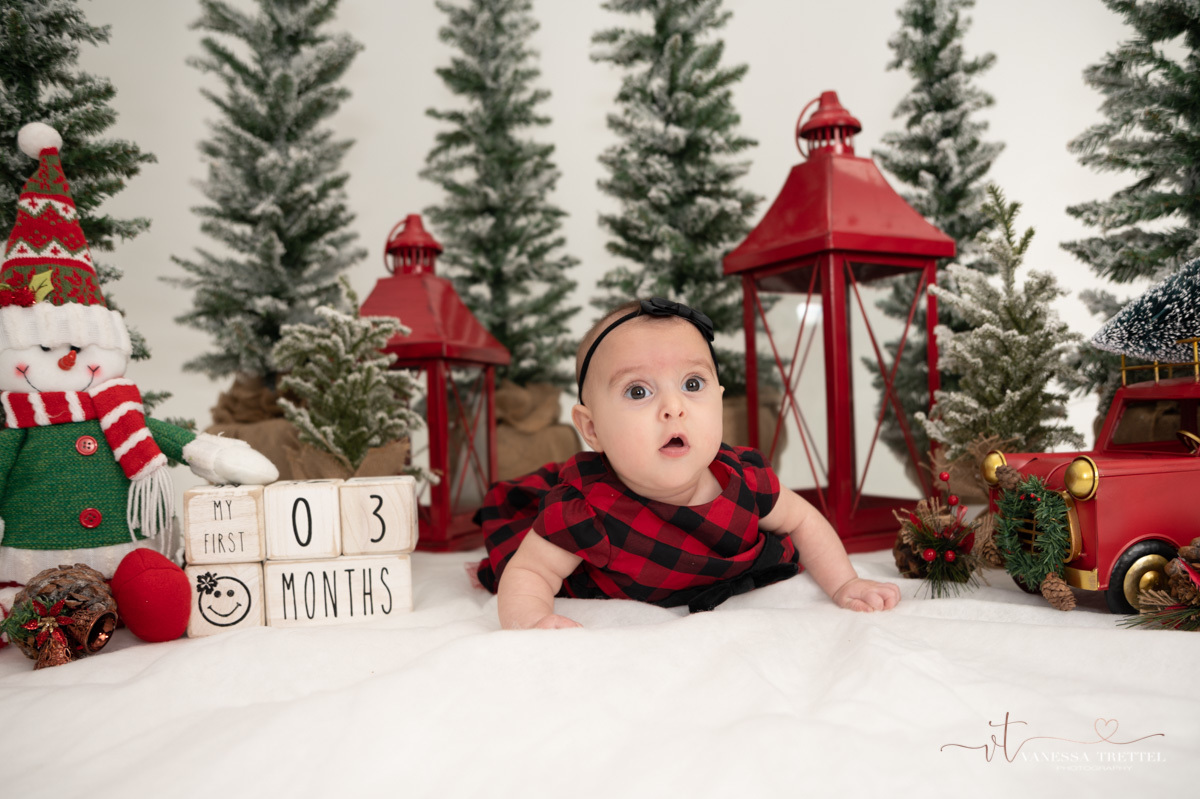 Christmas Studio photography
couple photo
family Christmas photo
Ansonia  CT
Vanessa Trettel Photography