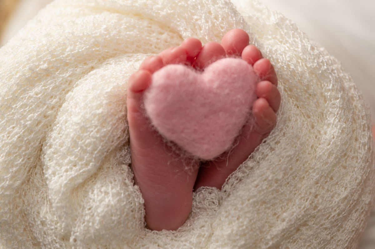 newborn photo
pink background girl 
Vanessa Trettel Photography
Ansonia, CT