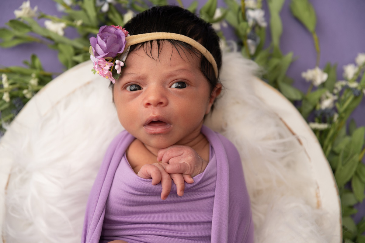 newborn photo
bed prop big smile
purple background girl 
Vanessa Trettel Photography
Ansonia, CT